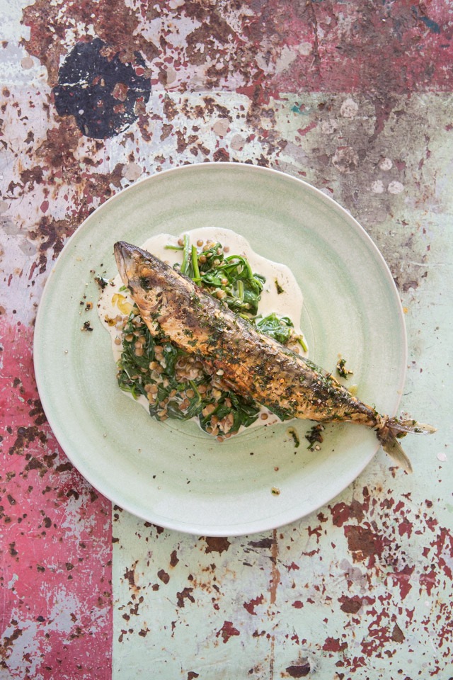 Heute koch ich, morgen brat ich – Märchenhafte Rezepte