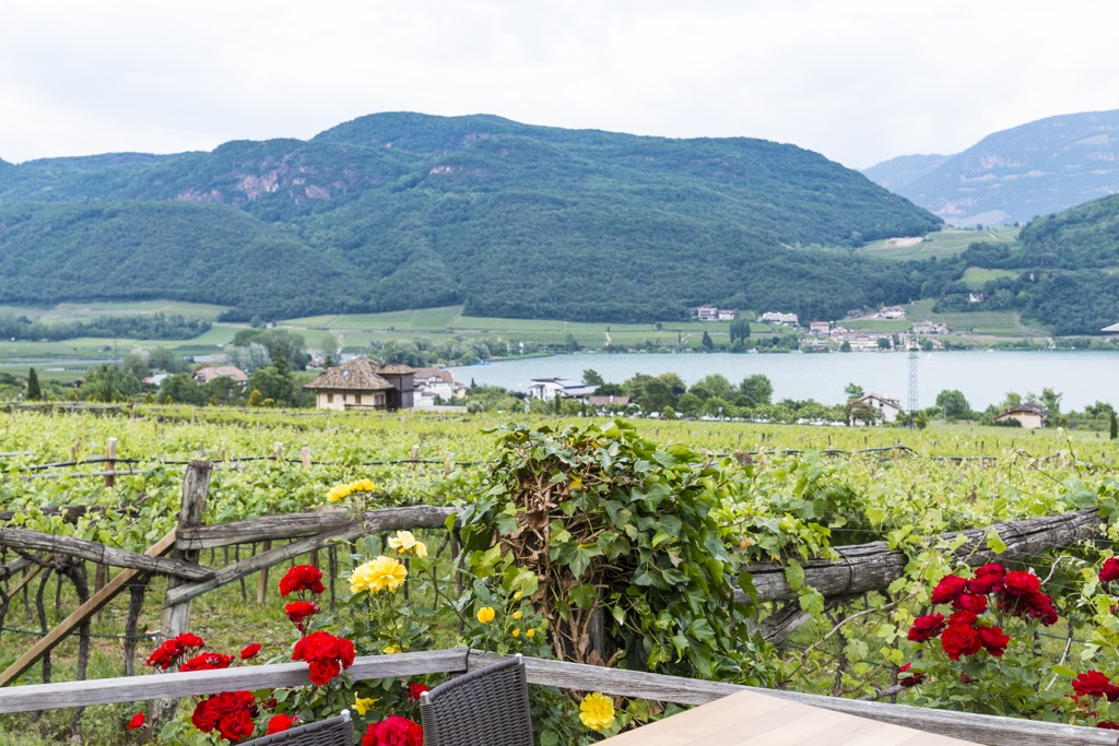 Pressereise Sudtirol Kaltern Am See Seehof Keller Ausblick Cookingaffair De