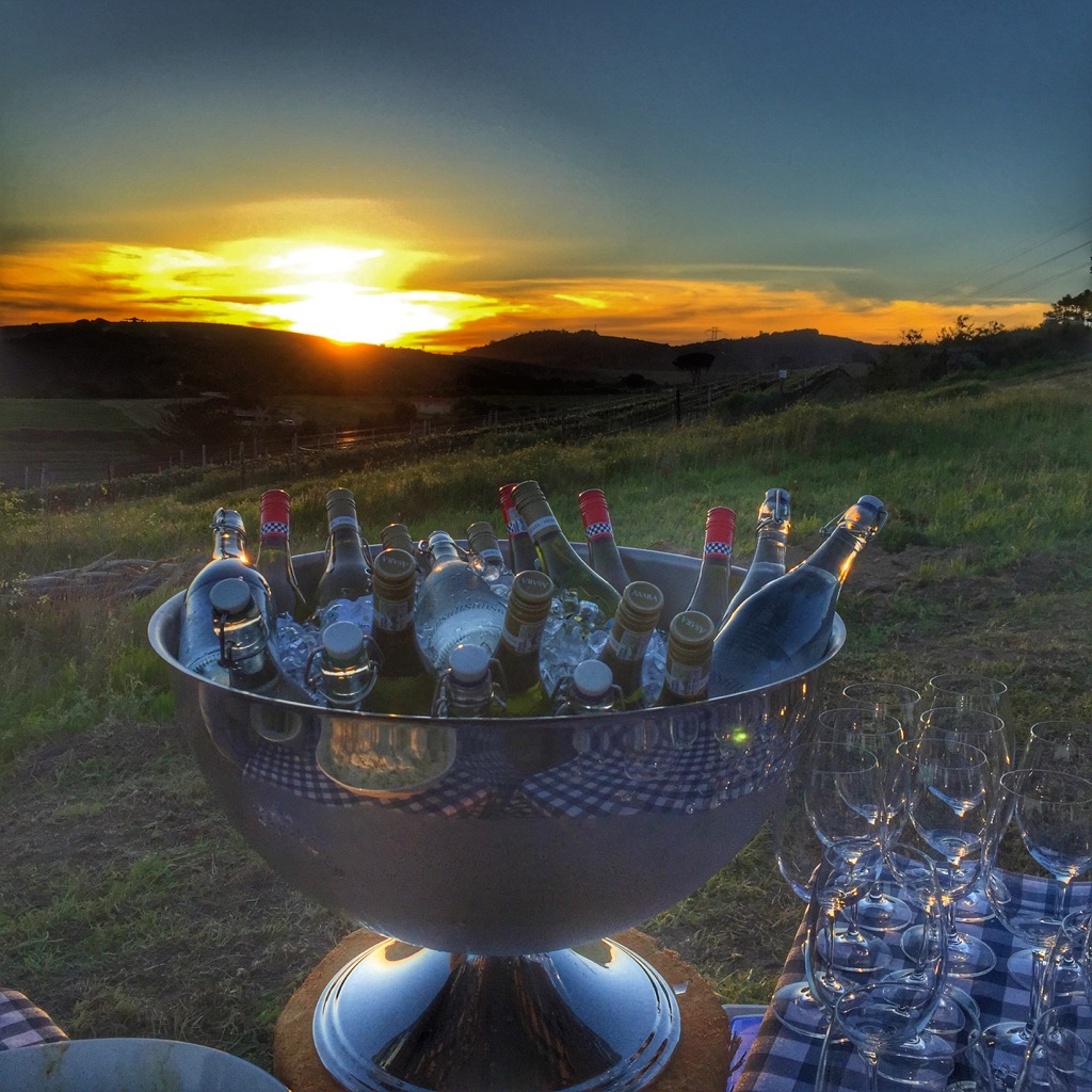 Südafrika-braai-wine-with-a-view